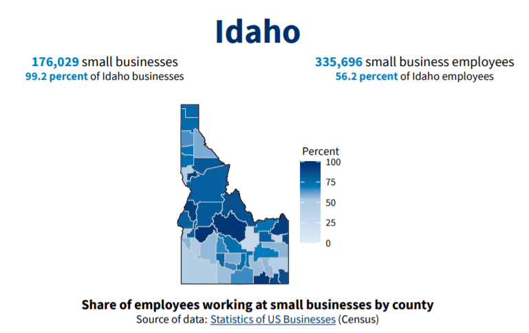 Idaho Small Business Profile
