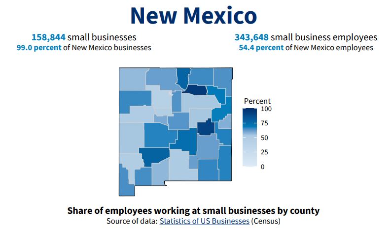 New Mexico Small Business Profile